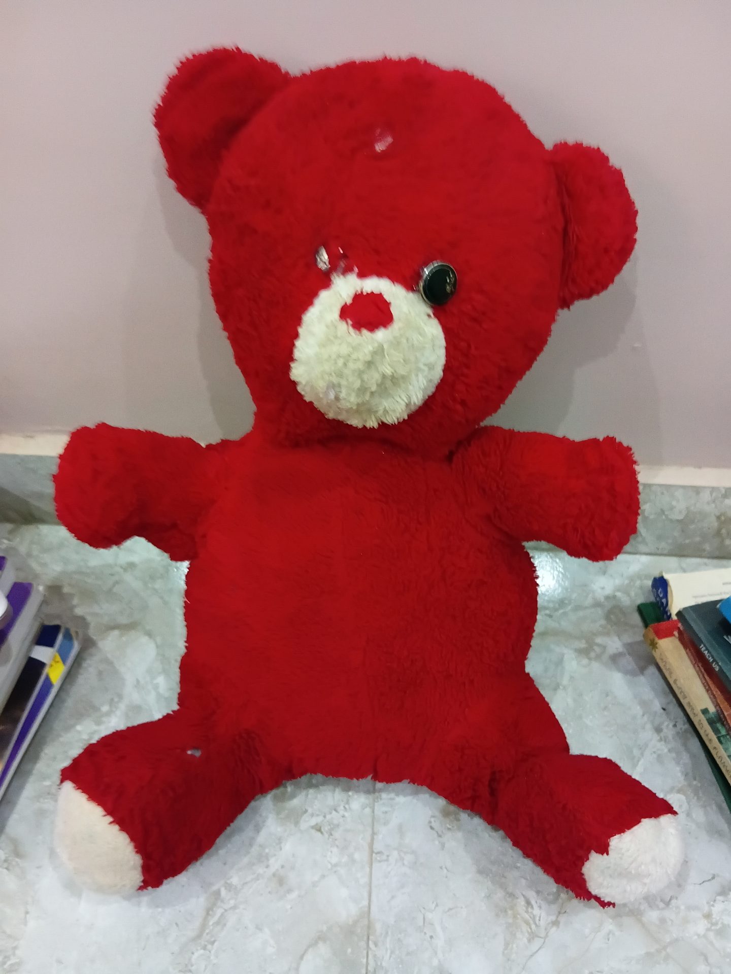 A teddy bear