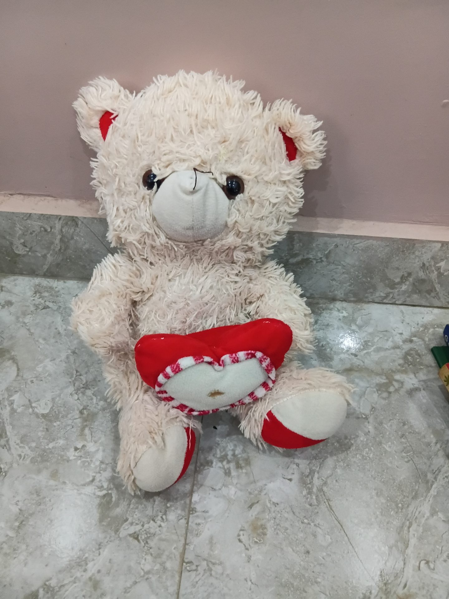 Teddy bear