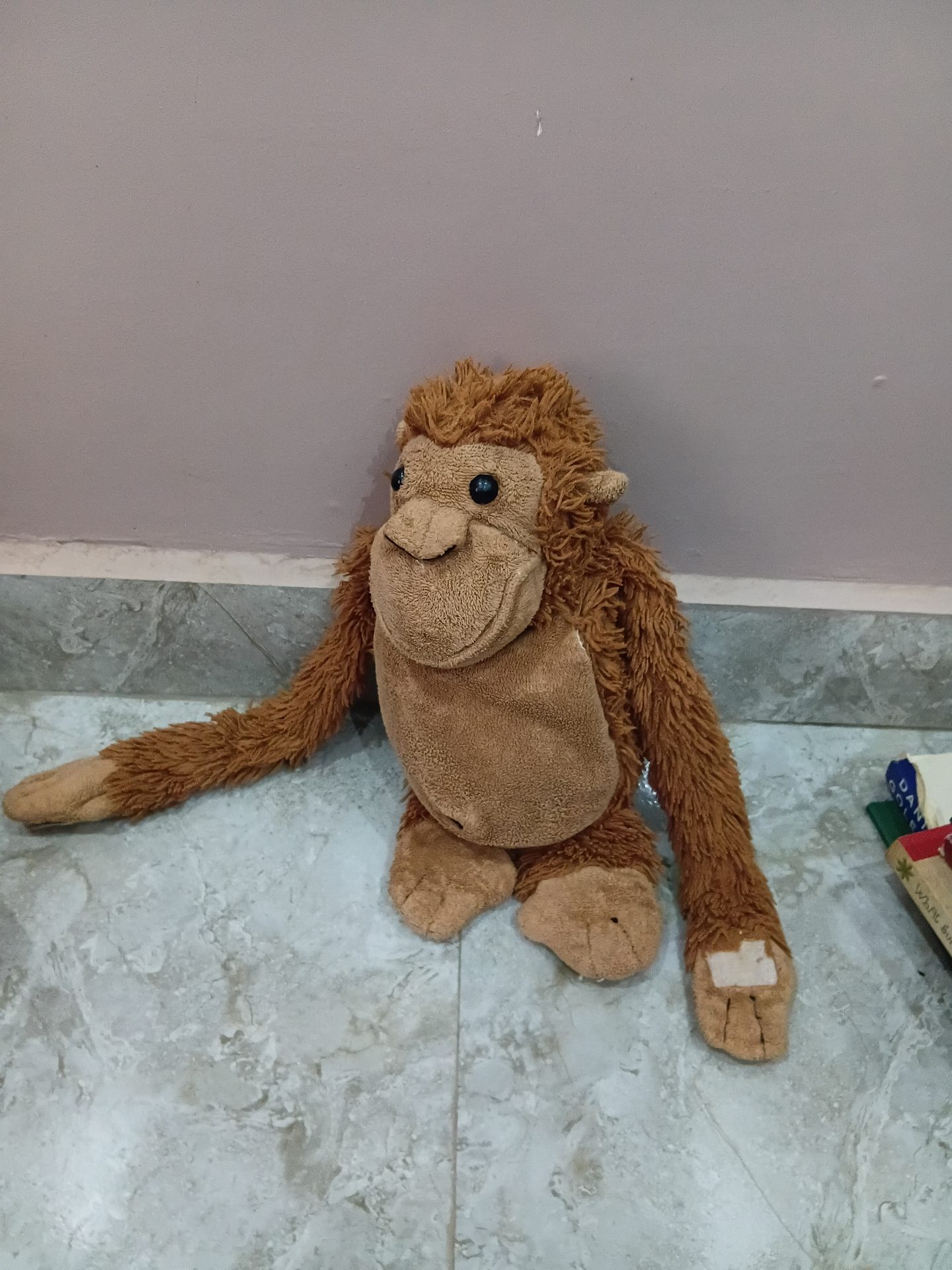 A monkey toy